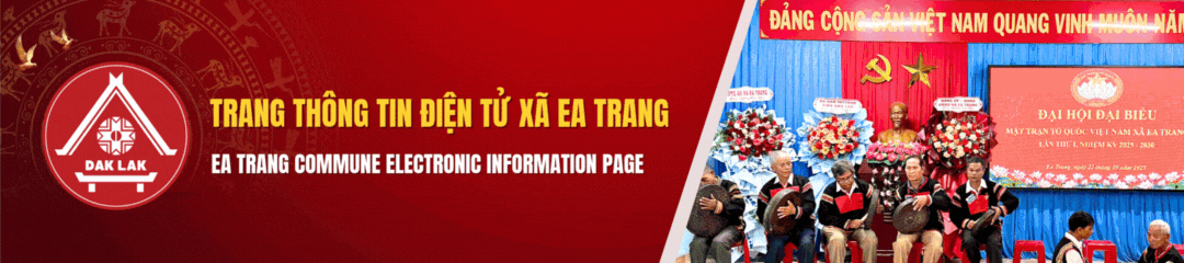 Banner Header Mobile