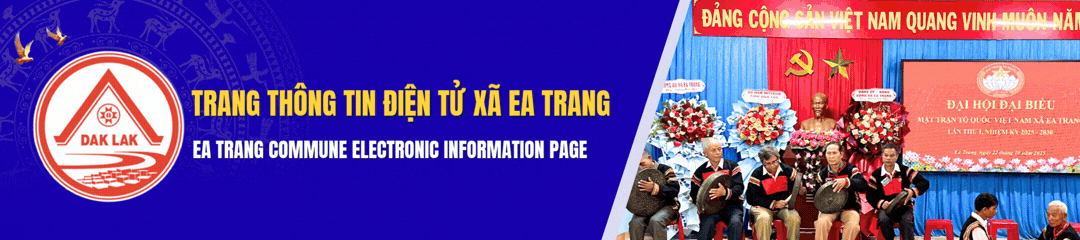 Banner Header Mobile