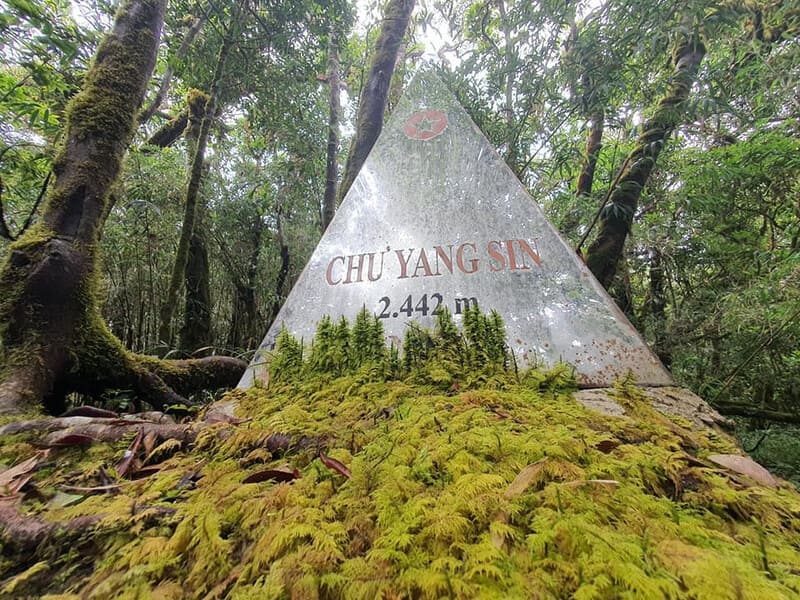 Giới thiệu Vườn Quốc Gia Chư Yang Sin – Viên ngọc xanh giữa đại ngàn Tây Nguyên