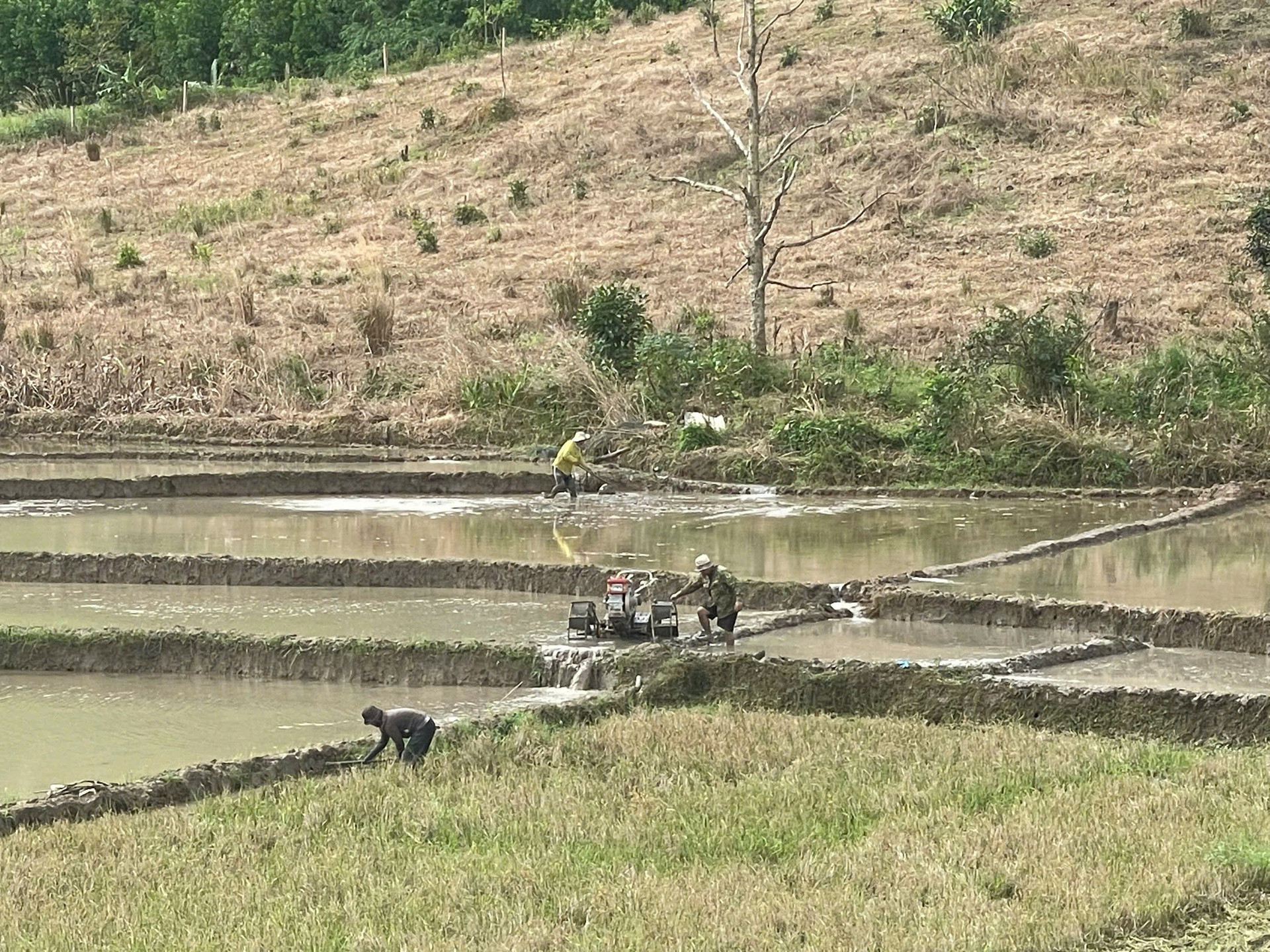 Chuyển từ “cho không” sang hỗ trợ có điều kiện, xã Ea Trang giảm nghèo hiệu quả
